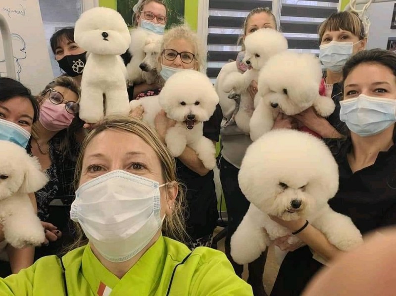 JOURNEE STAGE BICHON