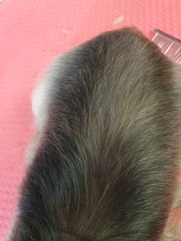 DOS APRES TRAITEMENTHYDRATATION