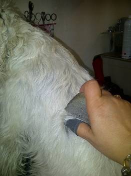 epilation a la pierre