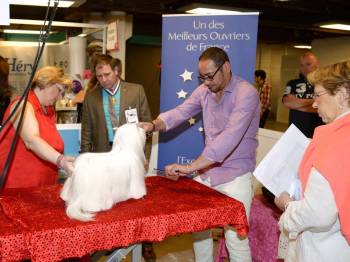 JUGEMENT DU BAIN A POILS  LONGS