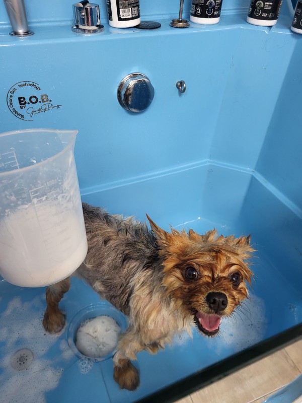Centre de balnéothérapie avec eau enrichie à  l'ozone pour chien à Marseille