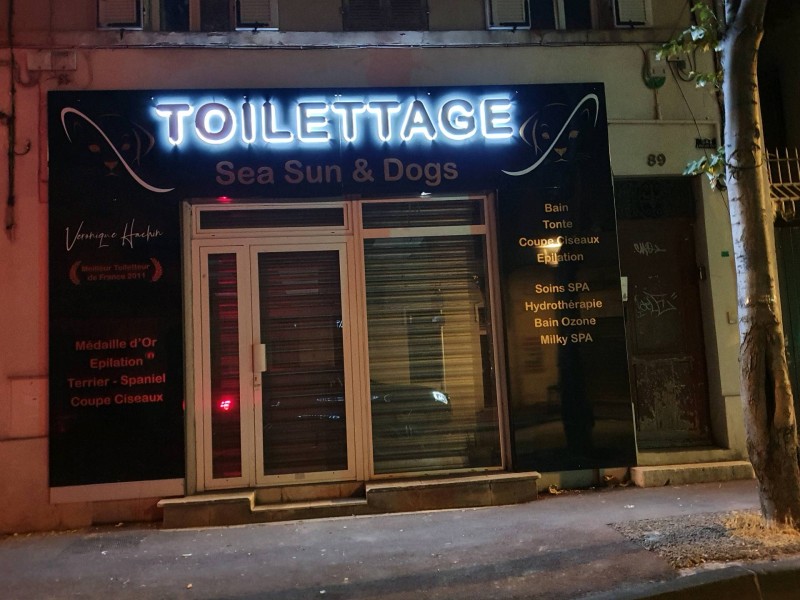Le salon de toilettage à déménagé au 89 boulevard de la concorde  13009
