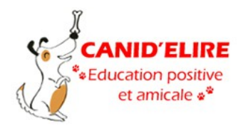 Cours d'éducation ou de dressage positif du chien à domicile à