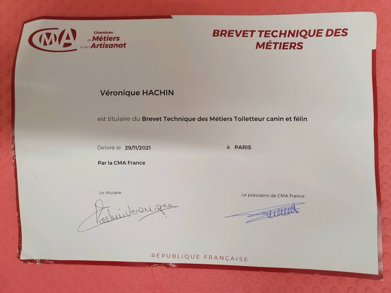 Attention nouvelle réglementation en cours pour ouvrir un salon de toilettage .....