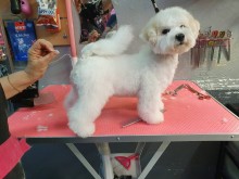 Nos prestations sur le secteur de à Marseille 10e