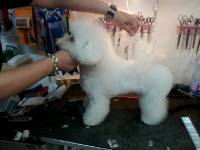 Nos prestations sur le secteur de à Marseille 10e