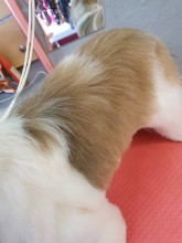 Nos prestations sur le secteur de à Marseille 10e