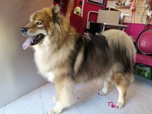 Nos prestations sur le secteur de à Marseille 10e