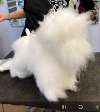 Nos prestations sur le secteur de à Mazargues, Marseille 9e