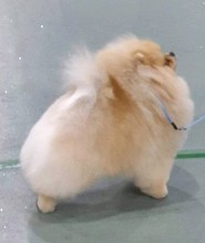 Nos prestations sur le secteur de à Marseille 10e